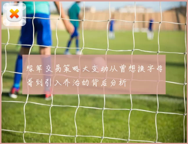 绿军交易策略大变动从曾想换字母哥到引入乔治的背后分析