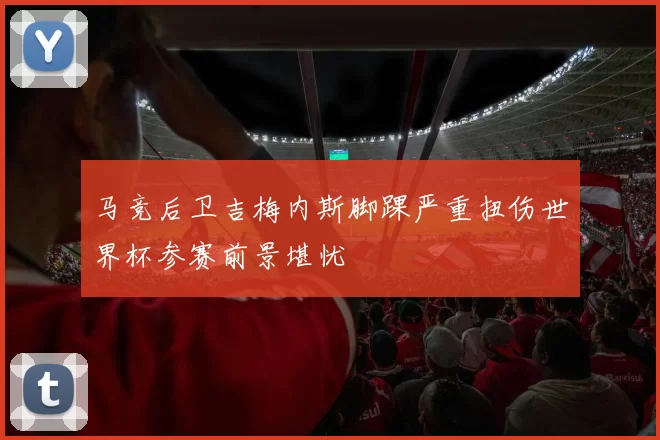 马竞后卫吉梅内斯脚踝严重扭伤世界杯参赛前景堪忧