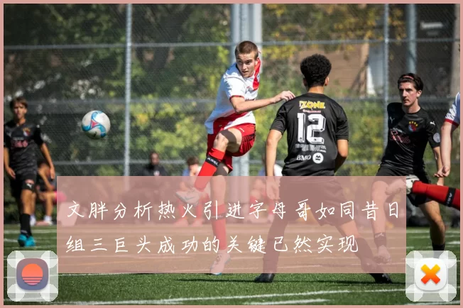 文胖分析热火引进字母哥如同昔日组三巨头成功的关键已然实现